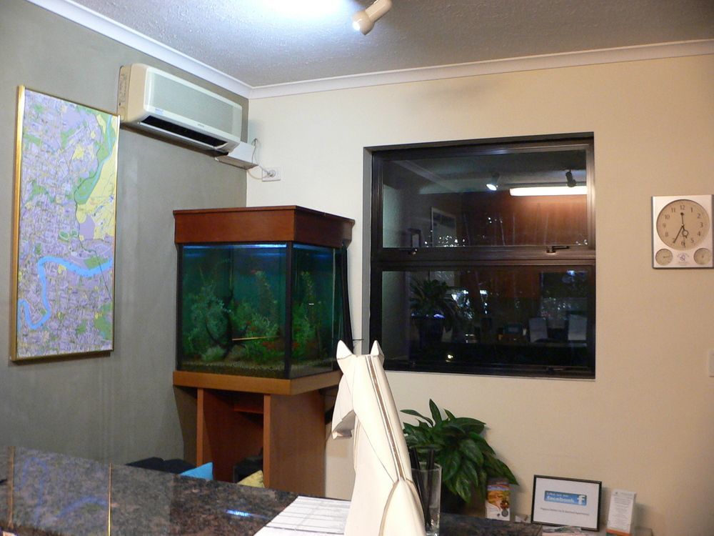 Pegasus Motor Inn And Serviced Apartments Hamilton Buitenkant foto